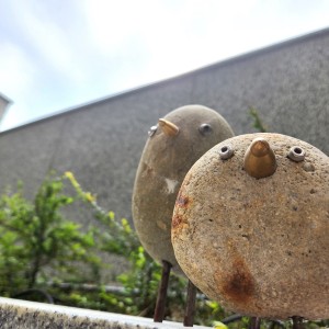 石頭鳥
