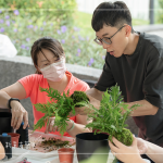 體驗活動—手作蕨類苔球，源自日本江戶時代的植感綠藝，感受土壤氣息，以手心溫度捏塑，沉浸植物療癒時光。