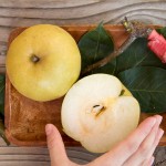 一顆顆獨一無二、用心呵護的梨仔，是每年夏秋季的主角，從產地到餐桌，都是農民們年年辛勞得來的果實，每一片梨葉與枝枒都是最好的襯底，讓梨仔脫穎而出。