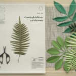 紙張源自於植物的纖維製程，樹木靈魂畫為紙張，重塑植物的型態，如同一個循環，持續向自然學習，探索其中的美好。