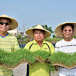 穆椿松董事長(左)與卓勝隆董事長(右)手捧大塊美麗的秧苗，和農業企業家翁良材先生(中)燦爛合照。