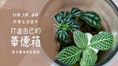 生活習作 × 打造自己的華德箱－螢光蕈植物生態瓶 