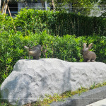 座落於大塊森濤景觀庭園後方的街道家具，以大自然生態為靈感創作《河畔青青》，建立起土地與建築的對話，承載人們愜意悠然的片刻。