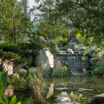 生態池 水瀑