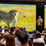 照片記錄下動物們有趣的生活習性，生態攝影是一場漫長的守候，想要捕捉精彩瞬間，不僅需要耐心，更少不了運氣。