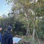 以緞帶為記，牽起『烏臼』與『大塊藏硯』的緣分，靜待時機，在新的落腳處，延續自然與人文之間的美好記憶。