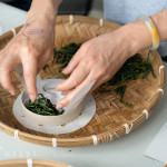 體驗活動—手作時空茶餅，享受茶香，感受風土，沉浸五感之間，雙手揉捻茶菁，感受每一片茶葉醇香的轉變，待烘乾後，泡上一盞心韻茶香。