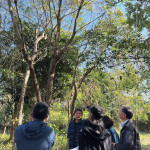 樹形整體飽滿度、分枝錯落的方向，以及360°環繞視角下，是否能達成美的平衡，皆是選樹時重要的考量。