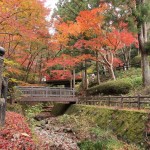 山號「一乘山」的根來寺，美景俯拾即是，滿園的楓紅落葉紅了南紀的秋天。