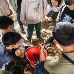 荒野保護協會總顧問-林笈克親臨現場，特地下溪捕撈小魚，有原生種鯽魚、吳郭魚、紅魔鬼等，不僅讓大小朋友認識牠們，也更加了解筏子溪的多元生態，並於結束時將這些小魚們放回屬於牠們的家園。