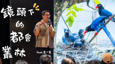 新業藝講堂｜鏡頭下的都會叢林